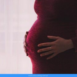CuÃ¡ndo y DÃ³nde Cobro AsignaciÃ³n Por Embarazo