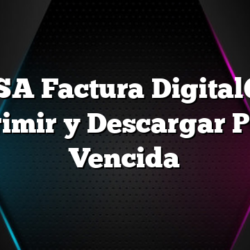 BAGSA Factura DigitalComo Imprimir y Descargar Pagar Vencida