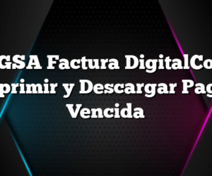 BAGSA Factura DigitalComo Imprimir y Descargar Pagar Vencida