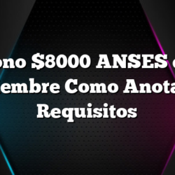 Bono $8000 ANSES en Diciembre Como Anotarse Requisitos