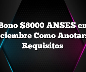 Bono $8000 ANSES en Diciembre Como Anotarse Requisitos