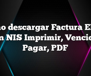 Como descargar Factura EDES con NIS Imprimir, Vencida, Pagar, PDF