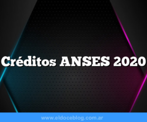 Créditos ANSES 2020