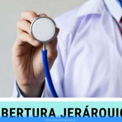 Cartilla de Jerárquicos Salud