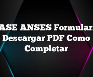 RASE ANSES Formulario Descargar PDF Como Completar