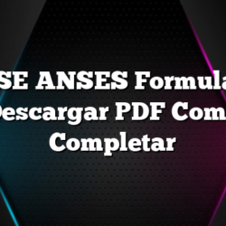 RASE ANSES Formulario Descargar PDF Como Completar