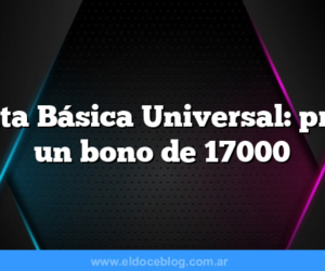 Renta Básica Universal: prevé un bono de 17000