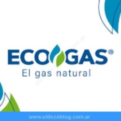 Estado de Cuenta Ecogas: cómo Consultarlo, Pagarlo