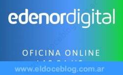 Factura Edenor online