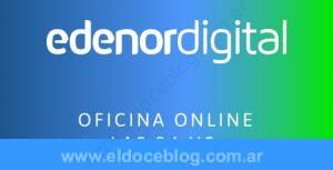 Factura Edenor online