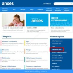 Consulta de liquidación de asignaciones familiares en ANSES • Tramite en línea