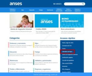 Consulta de liquidación de asignaciones familiares en ANSES • Tramite en línea